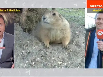 Cesar Gonzalo en el día de la marmota. Cesar Gonzalo en el día de la marmota.