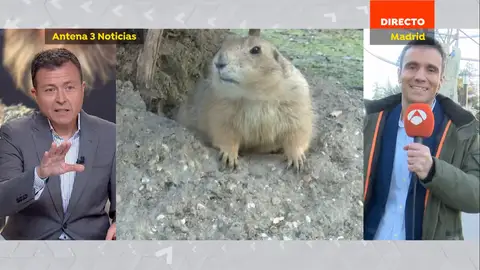 Cesar Gonzalo en el día de la marmota. Cesar Gonzalo en el día de la marmota.