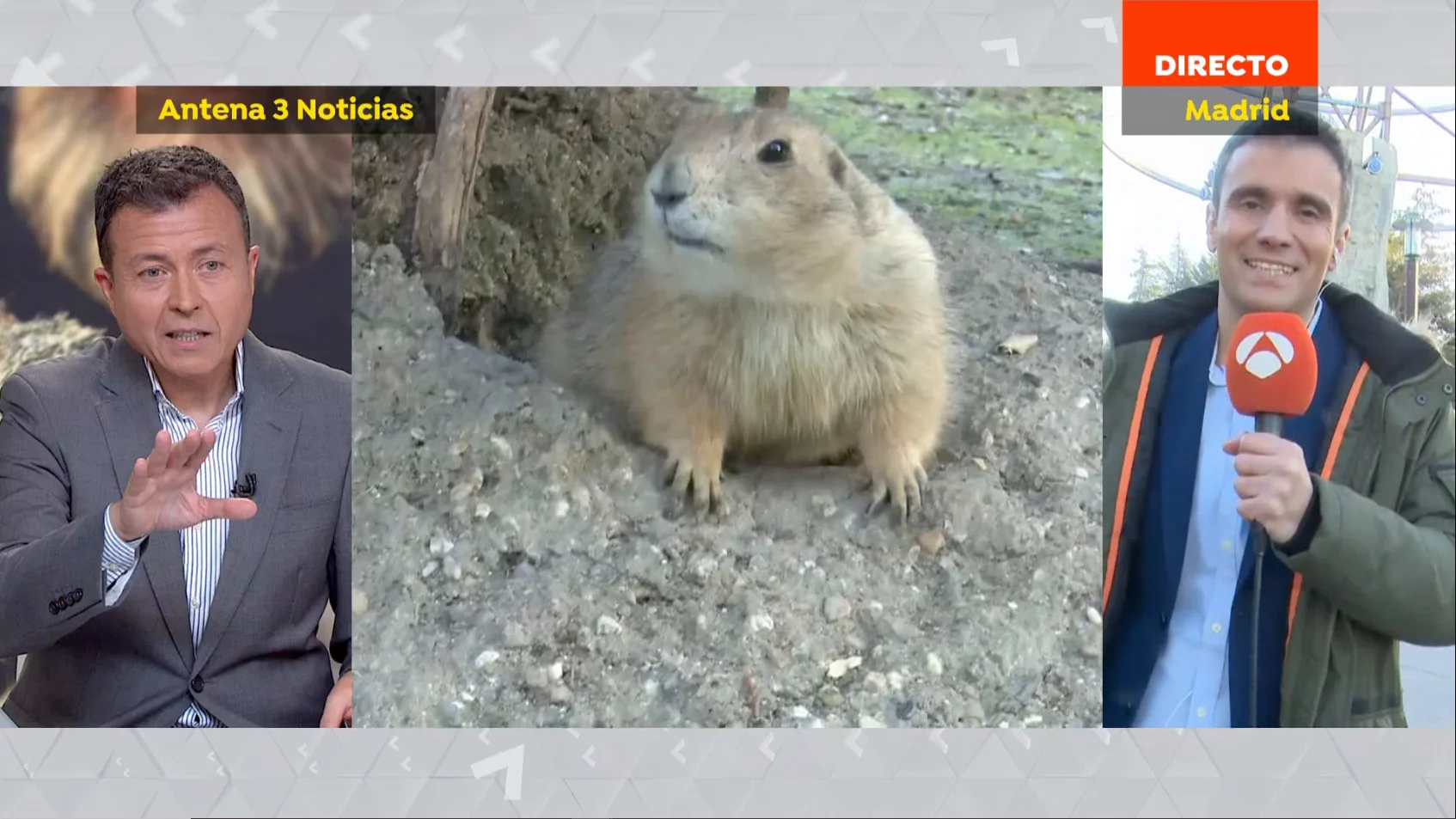 Cesar Gonzalo en el día de la marmota. Cesar Gonzalo en el día de la marmota.