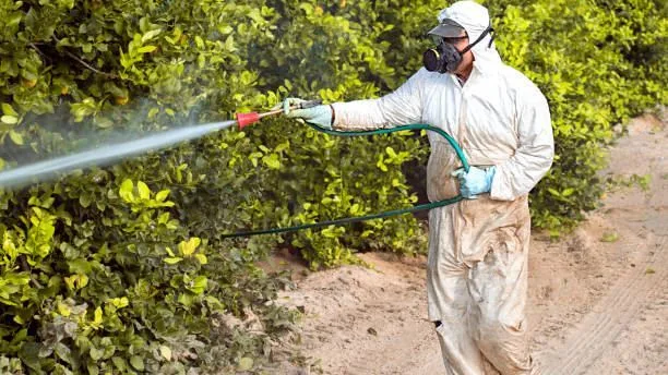 Fumigaci&oacute;n insecticida