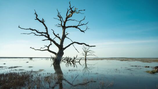 Los mayor&iacute;a de los j&oacute;venes consideran la realidad de la crisis clim&aacute;tica