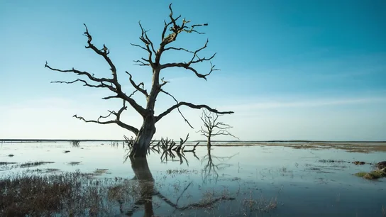 Los mayoría de los jóvenes consideran la realidad de la crisis climática Los mayoría de los jóvenes consideran la realidad de la crisis climática