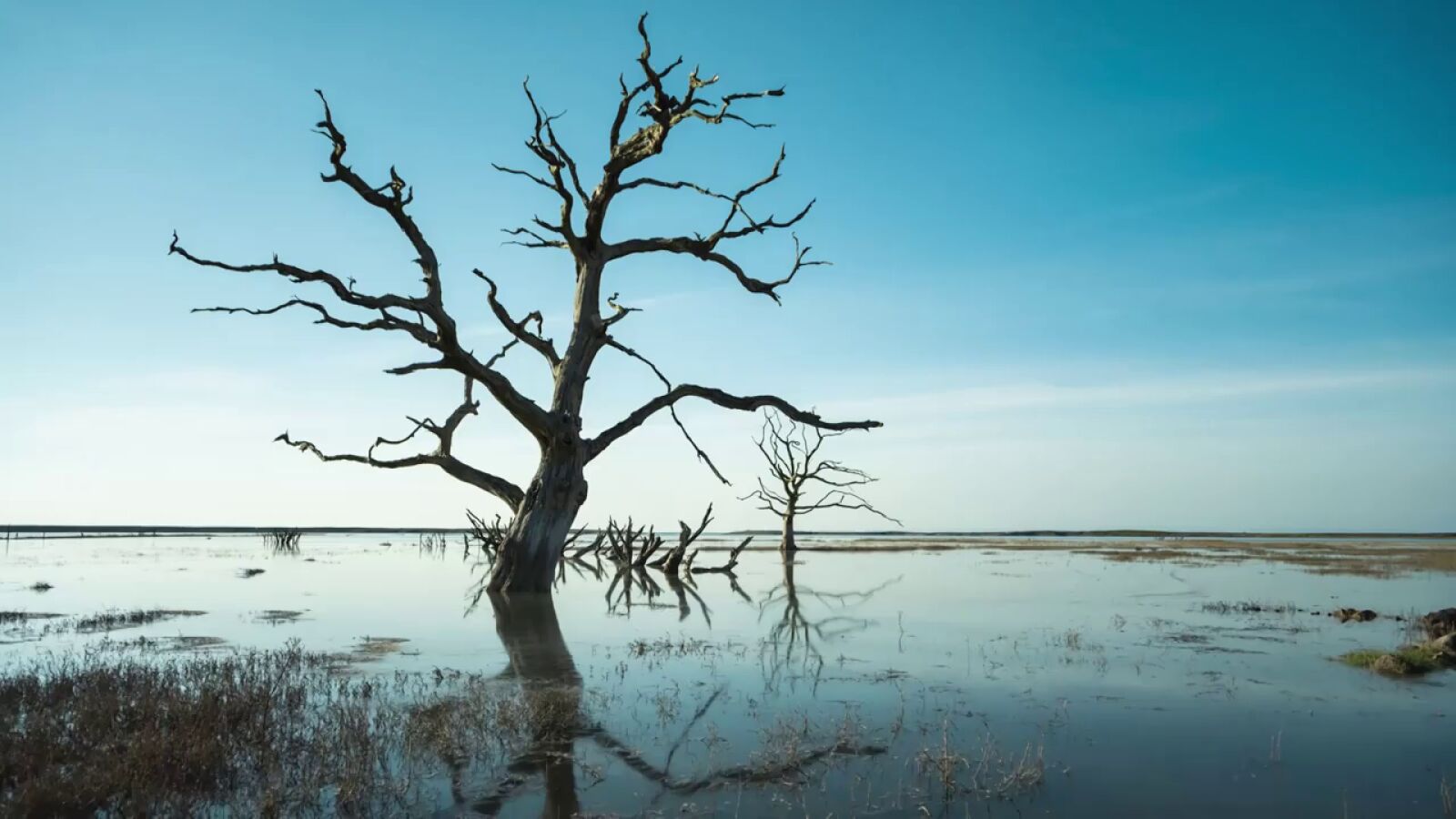 Los jóvenes y el cambio climático: una preocupación real