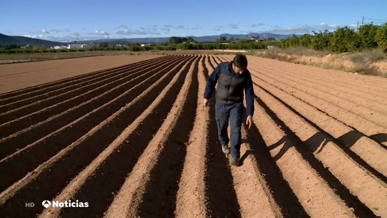 Las cuentas en el campo no salen: los precios se incrementan un 400% al consumidor