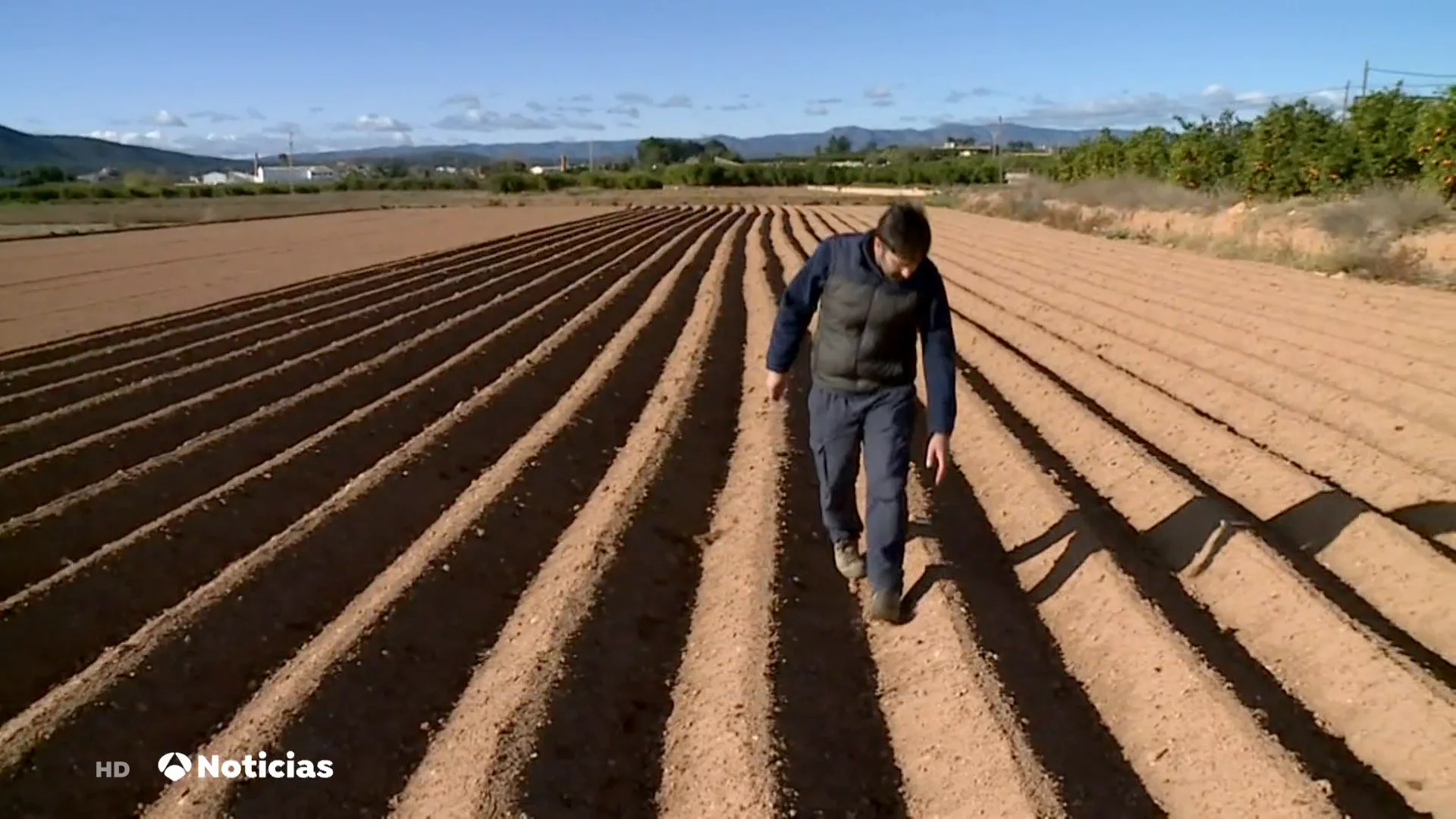 Las cuentas en el campo no salen Las cuentas en el campo no salen