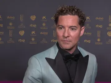 David Bisbal en los Goya 2024 David Bisbal en los Goya 2024