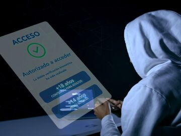 As&iacute; funcionar&aacute; la nueva aplicaci&oacute;n de acceso al porno: &iquest;c&oacute;mo evitar&aacute; que accedan los menores?