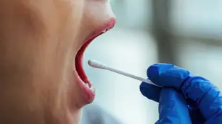 Test de saliva Test de saliva