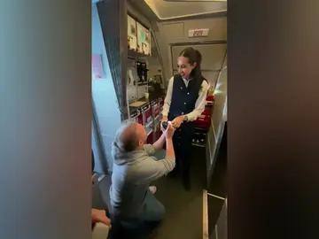 Pedida en pleno vuelo Pedida en pleno vuelo