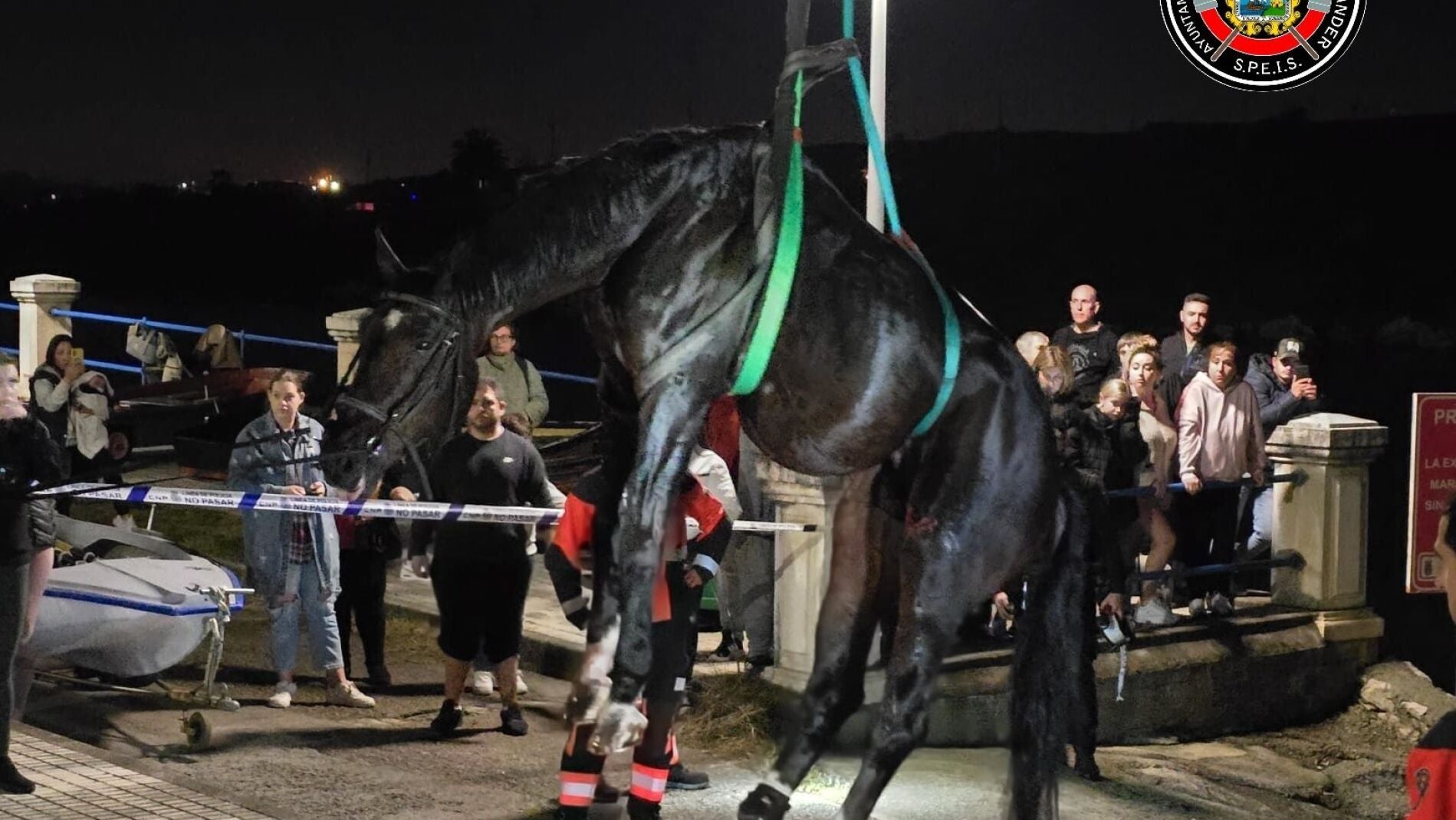 Espectacular Rescate De Un Caballo Herido En Una Playa De Santander