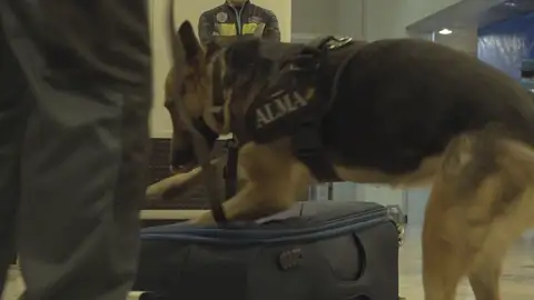 La Guardia Civil bate récord de incautación de droga en el aeropuerto de Madrid-Barajas La Guardia Civil bate récord de incautación de droga en el aeropuerto de Madrid-Barajas