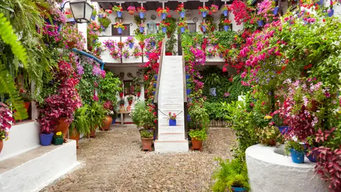 Patio andaluz lleno de flores Patio andaluz lleno de flores