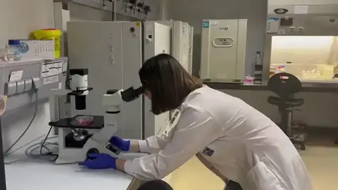 Una investigación de la Universidad de Santiago abre la puerta a un posible tratamiento para la fibrosis hepática Una investigación de la Universidad de Santiago abre la puerta a un posible tratamiento para la fibrosis hepática