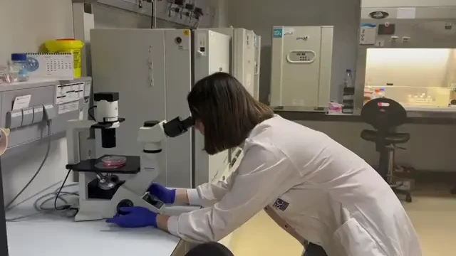 Una investigación de la Universidad de Santiago abre la puerta a un posible tratamiento para la fibrosis hepática Una investigación de la Universidad de Santiago abre la puerta a un posible tratamiento para la fibrosis hepática