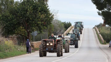 Tractores entran por una carretera al centro de Palma de Mallorca