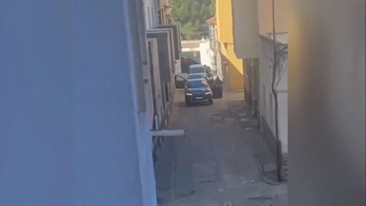 Secuestro Sanl&uacute;car