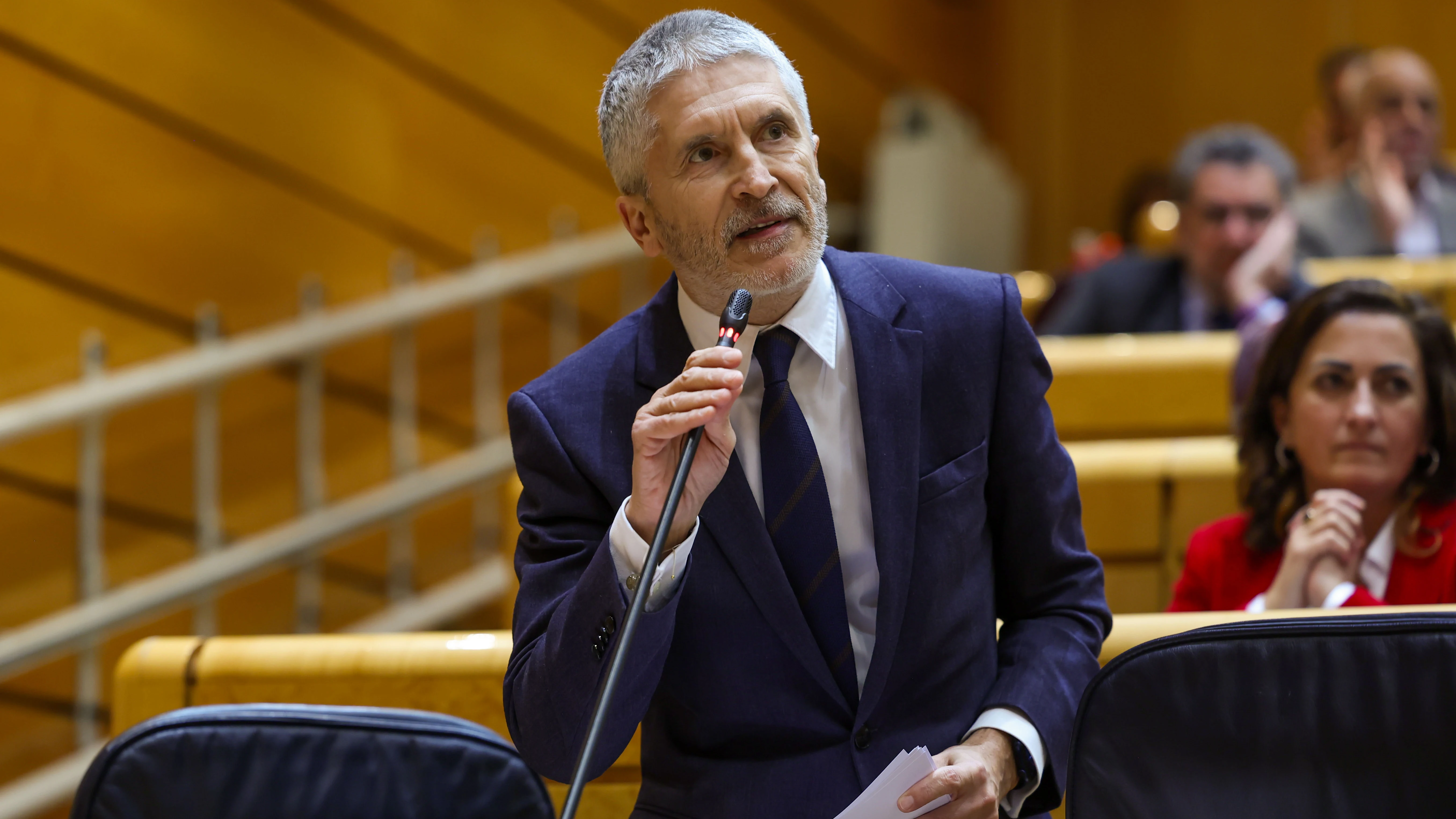 El ministro del Interior, Fernando Grande-Marlaska El ministro del Interior, Fernando Grande-Marlaska