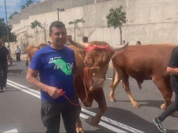 Huelga de agricultores en Tenerife