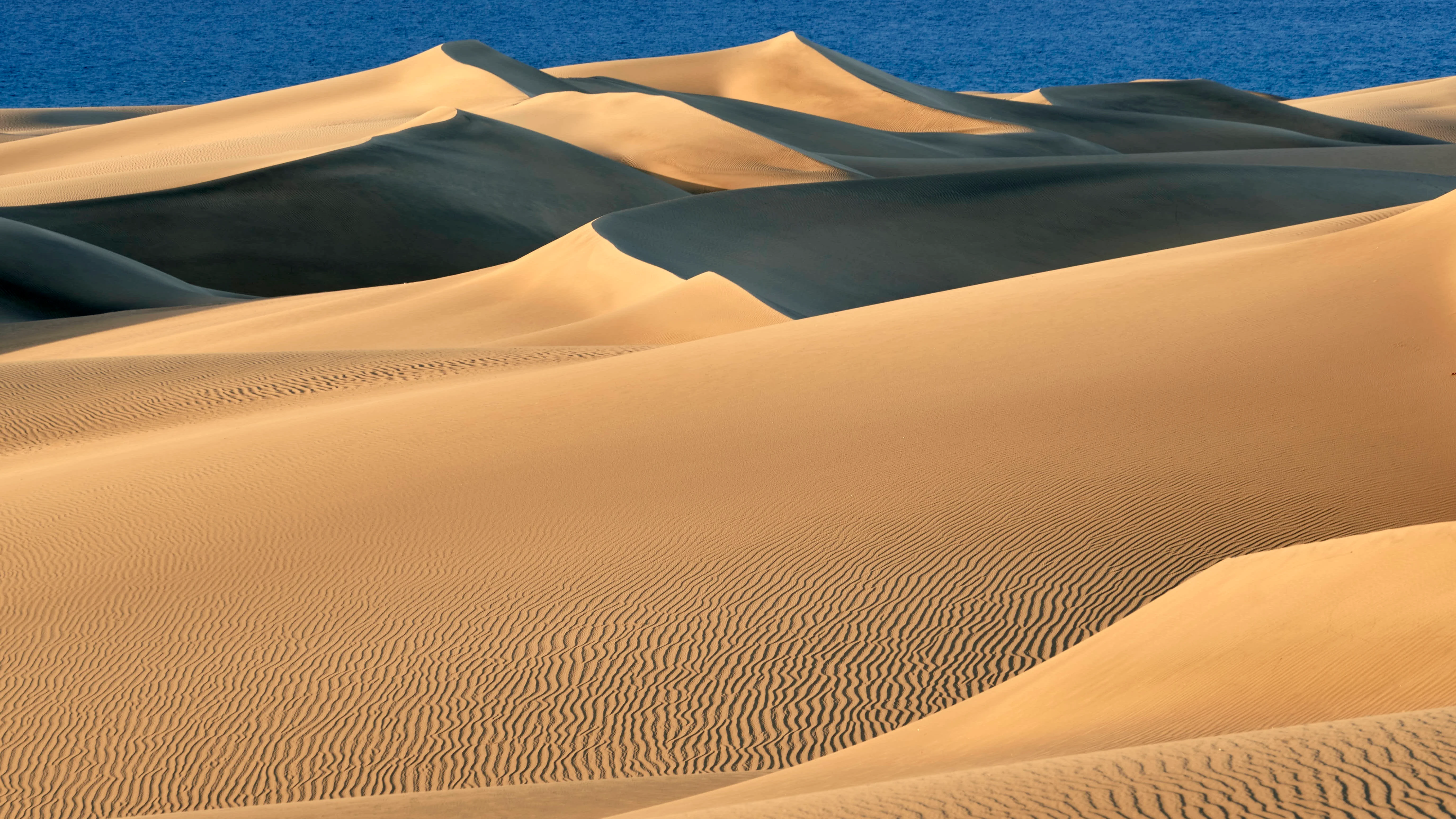 Vista de las Dunas de Maspalomas Vista de las Dunas de Maspalomas