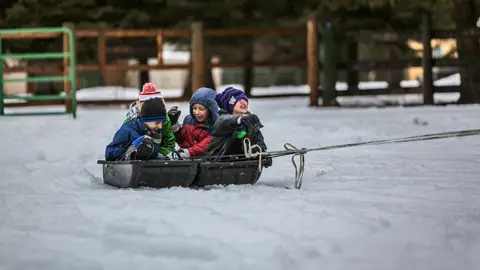Niños jugando en la nieve Niños jugando en la nieve