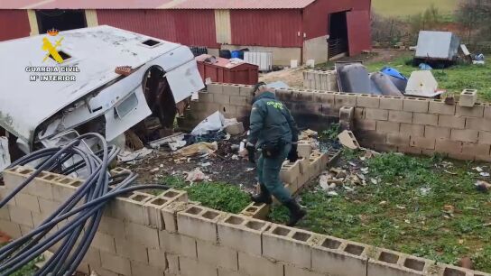Investigado por maltrato animal en Guadalajara por tener cabras, ovejas y cerdos en condiciones lamentables