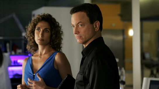 Stella (Melina Kanakaredes) and Mac (Gary Sinise) en CSI: NY Stella (Melina Kanakaredes) and Mac (Gary Sinise) en CSI: NY