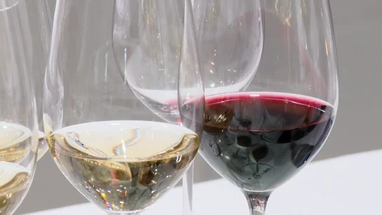 Vino Vino