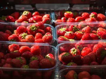 Cajas de fresas Cajas de fresas