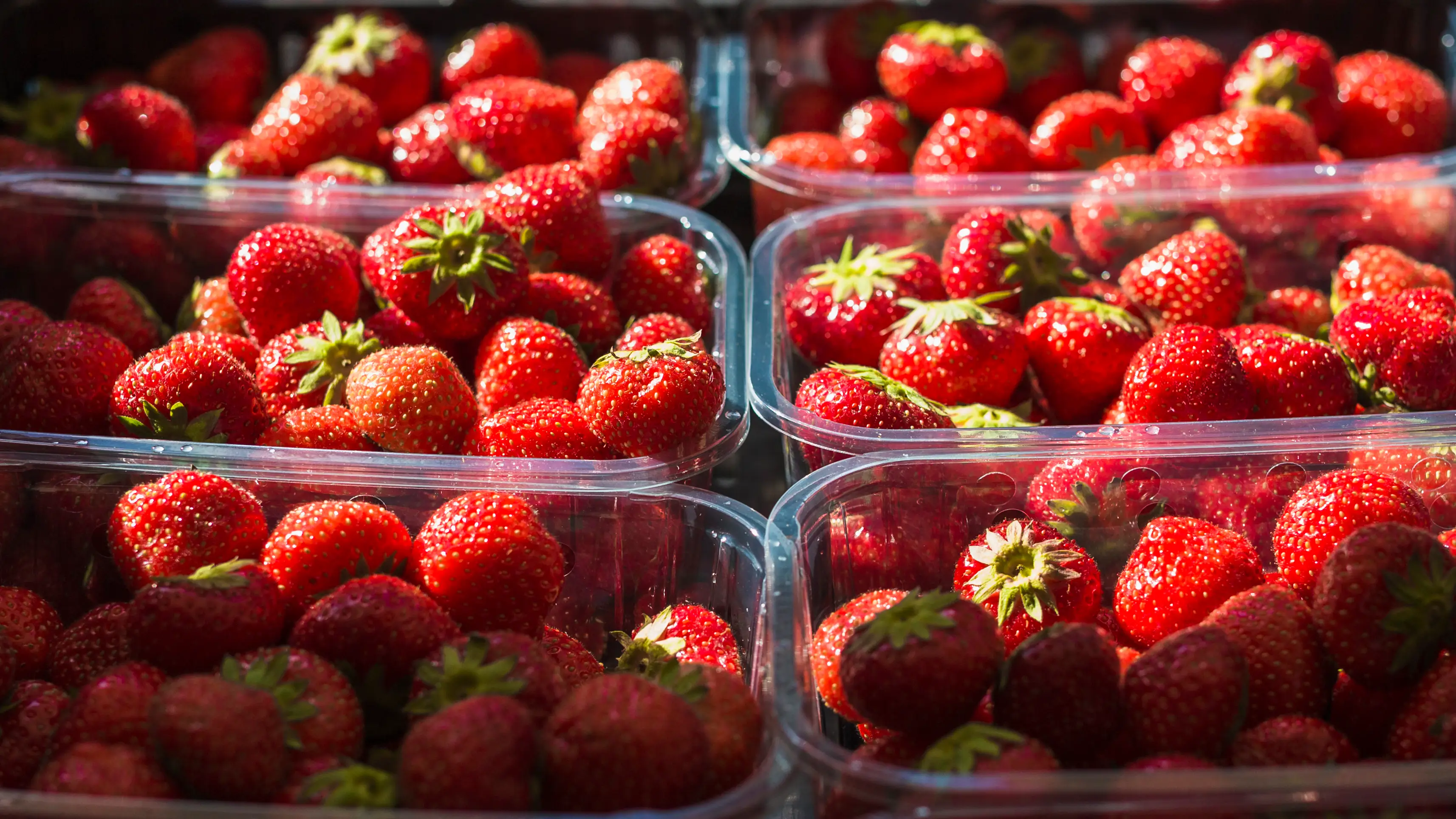Cajas de fresas