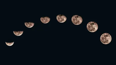 Fases de la luna Fases de la luna