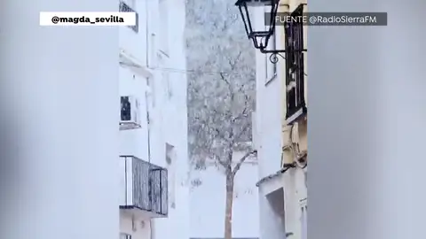 12 comunidades autónomas en alerta por nieve y lluvia 12 comunidades autónomas en alerta por nieve y lluvia