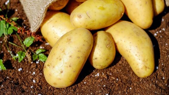 Saco de patatas