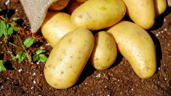 Saco de patatas Saco de patatas