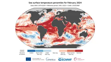 Anomalía de la temperatura del mar en febrero de este año.