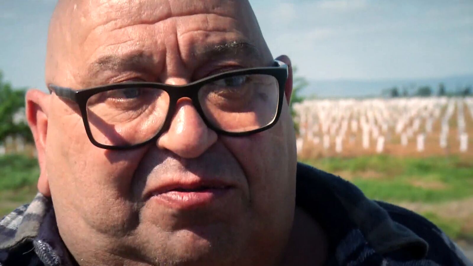 Okupan su casa y la convierten en una plantación ilegal de marihuana: 