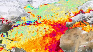 2024, calor extraordinario en los océanos: ¿Qué consecuencias tienen unos mares más calientes?