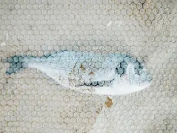 Un pescado cubierto de plástico Un pescado cubierto de plástico