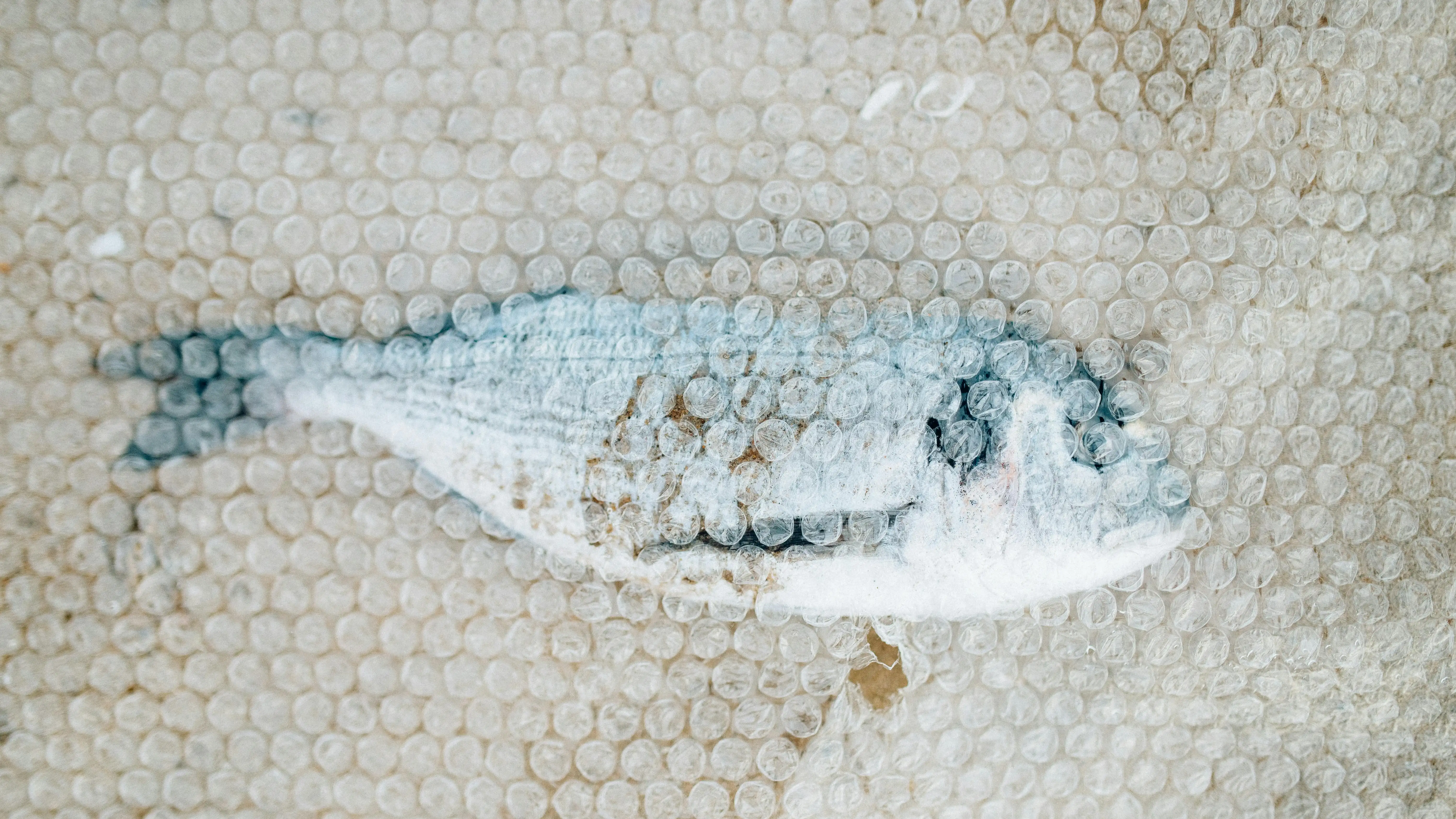 Un pescado cubierto de plástico Un pescado cubierto de plástico