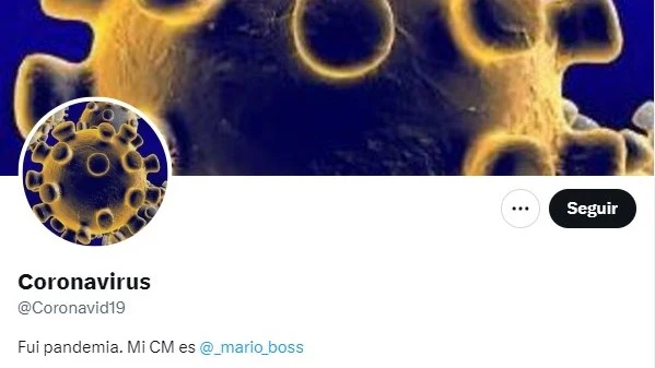 Perfil utilizado por Mario durante la pandemia