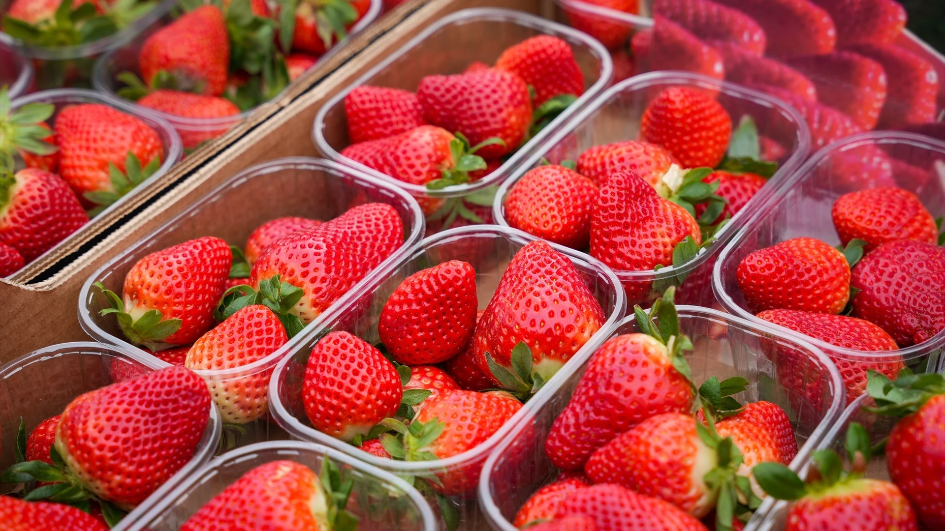 Fresas Fresas