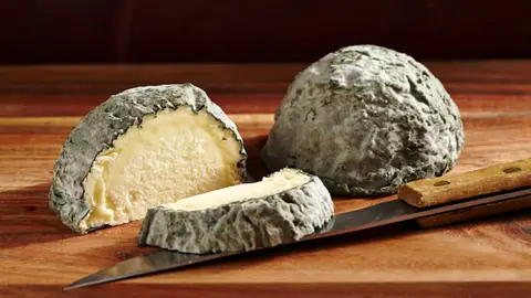 Queso curado con hongos Queso curado con hongos