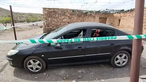 Violencia vicaria en Almería. Violencia vicaria en Almería.
