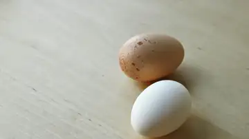 Huevos blancos y marrones