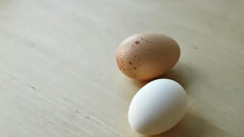 Huevos blancos y marrones Huevos blancos y marrones