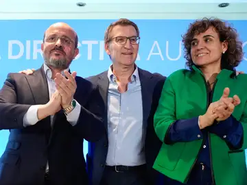 Feijóo pide, en la Junta Directiva Autonómica del PP de Cataluña, concentar el voto en el PP catalán Feijóo pide, en la Junta Directiva Autonómica del PP de Cataluña, concentar el voto en el PP catalán