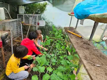 Huerto de un colegio de Pontevedra Huerto de un colegio de Pontevedra