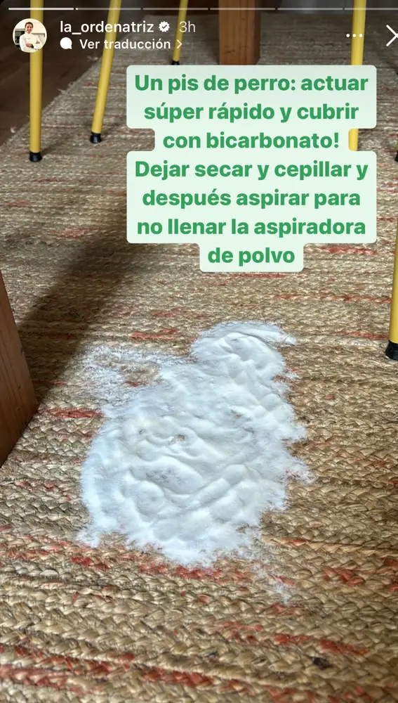 Solución de bicarbonato para limpiar el pis de la alfombra