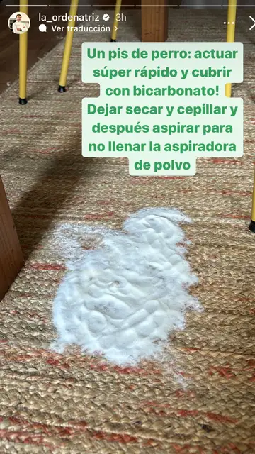 Solución de bicarbonato para limpiar el pis de la alfombra Solución de bicarbonato para limpiar el pis de la alfombra
