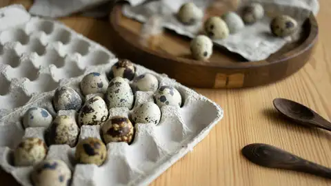 Huevos de codorniz Huevos de codorniz