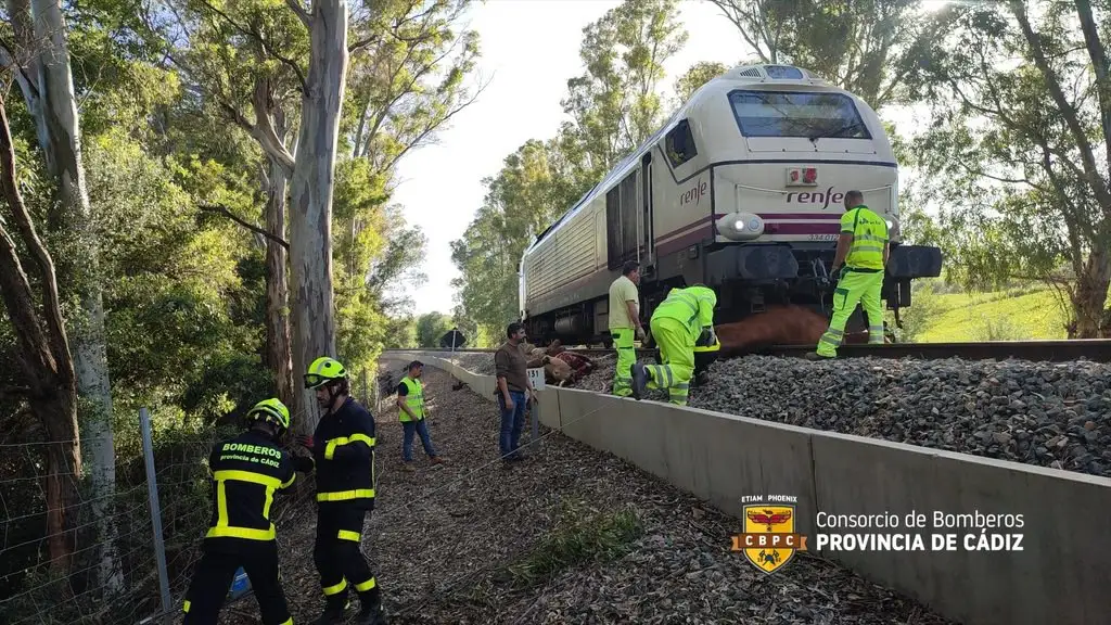 Imagen del momento en el que los bomberos tratan de sacar a las vacas de la vía Imagen del momento en el que los bomberos tratan de sacar a las vacas de la vía